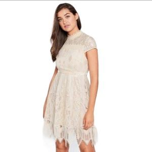 NWT Foxiedox Maisie Lace & Velvet Cocktail Dress Size 6